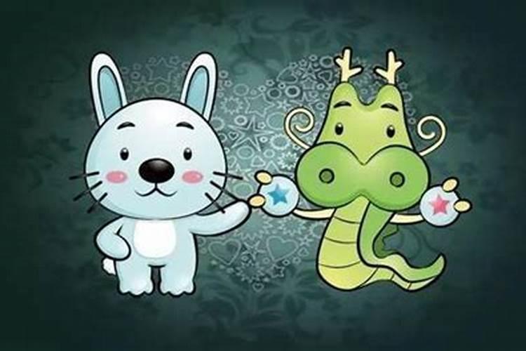 属龙与属兔的完美宝宝：寻找最佳生肖组合