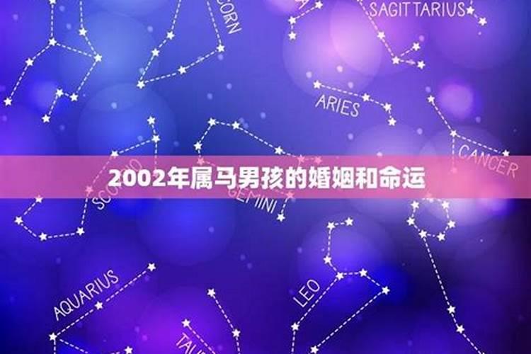属马男与理想伴侣：寻找命中注定的她