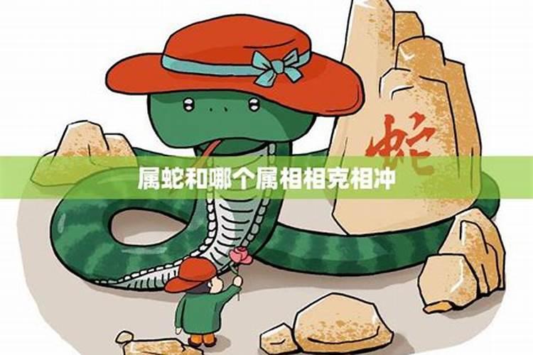 生肖蛇与什么生肖相冲？