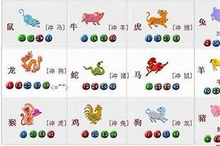 龙属相跟什么属相合？
