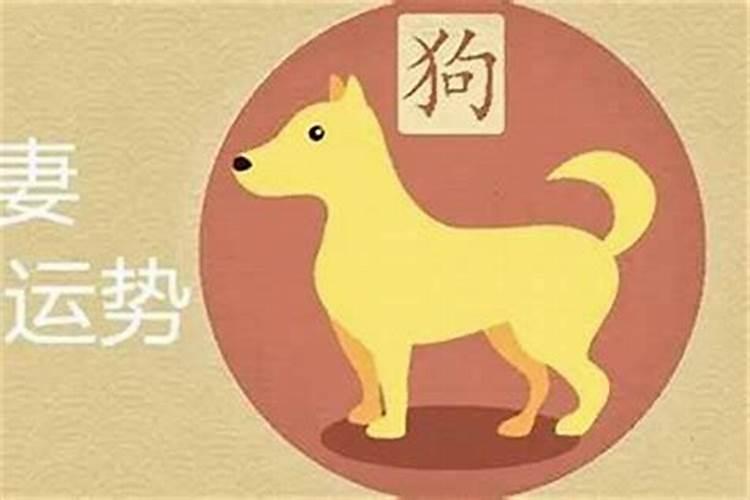 解读属狗男人的花心迷思：星座性格与真实行为之间的辨析