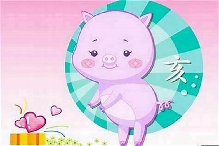 探寻属猪人的婚姻天作之合：与哪个生肖最为契合？
