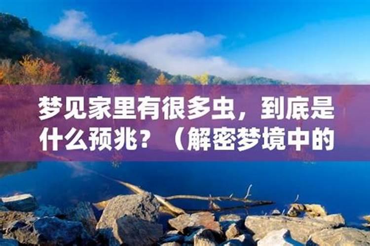 梦到知了幼虫：解析梦境中的预兆？