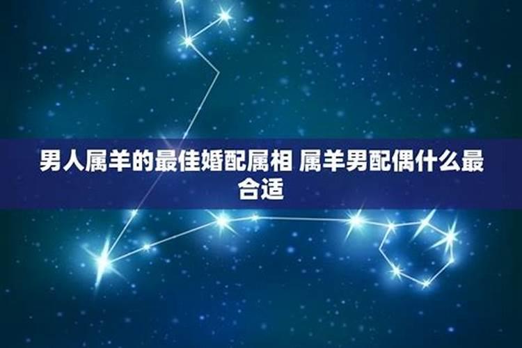 属羊的婚配：寻找灵魂伴侣的艺术