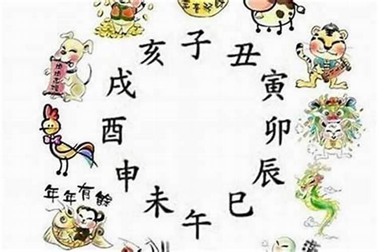 1954年属什么生肖多大了？