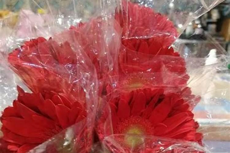 风水格局的奥秘：揭秘传统智慧与现代生活的和谐共生