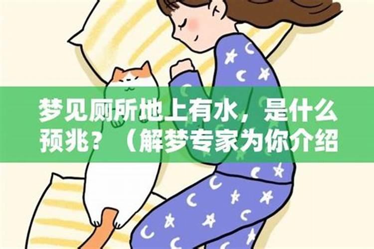 梦见厕所反水是什么征兆？