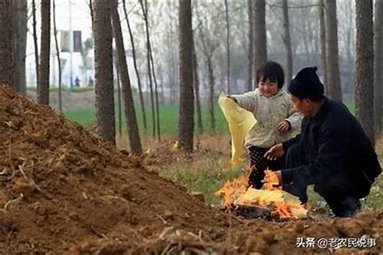 坟头上的树能不能砍了？