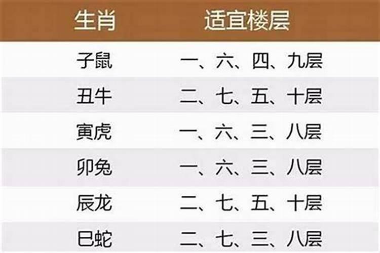 什么属相适合住什么楼层？