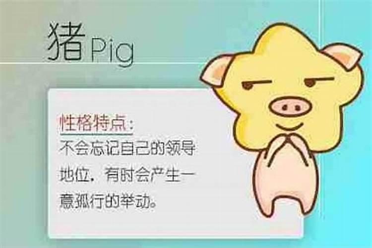 属相猪和什么属相不和？