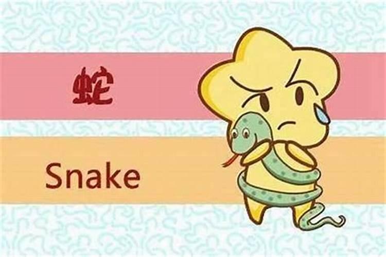 属蛇的男人好不好？