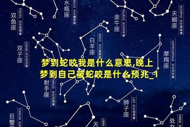 梦境之谜：梦到蛇咬我，究竟是何预兆？