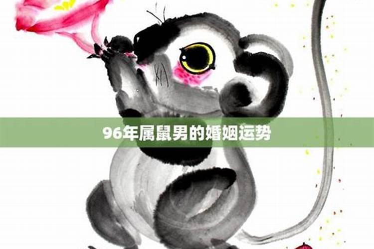 岁月轮回：1972年属鼠男性的婚姻图谱