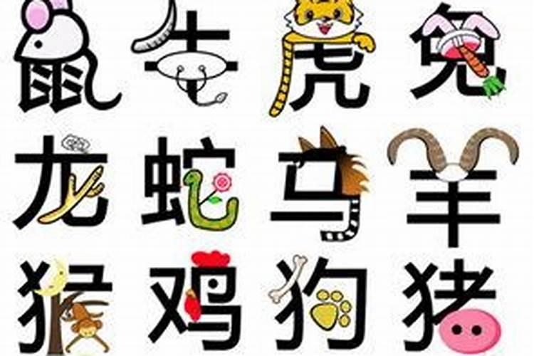 属虎女与十二生肖的天作之合