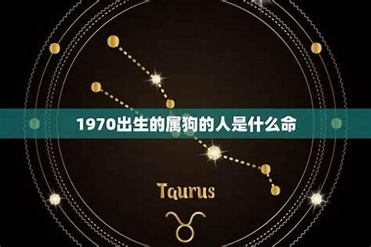 穿越时空的忠诚：1970年属狗人的寿终之道