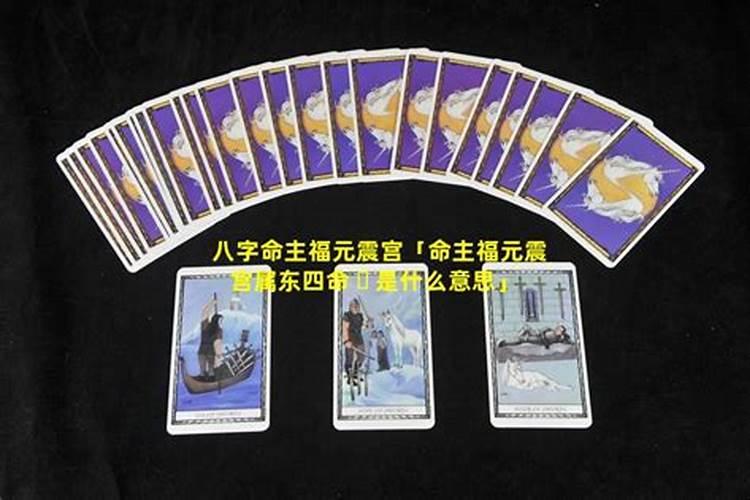 震宫东四命是什么意思？