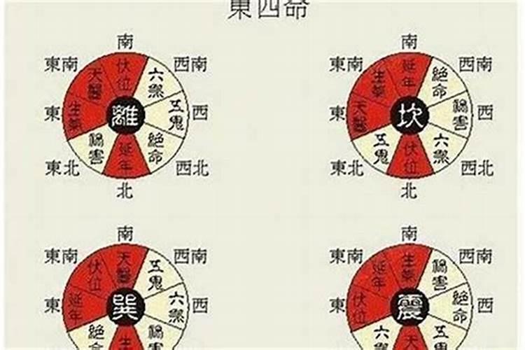 震宫东四命是什么？