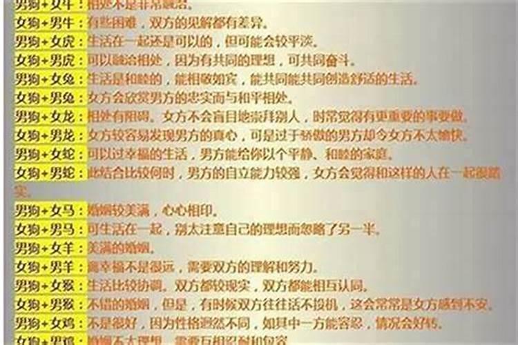 天作之合：探索属狗人的完美属相伴侣