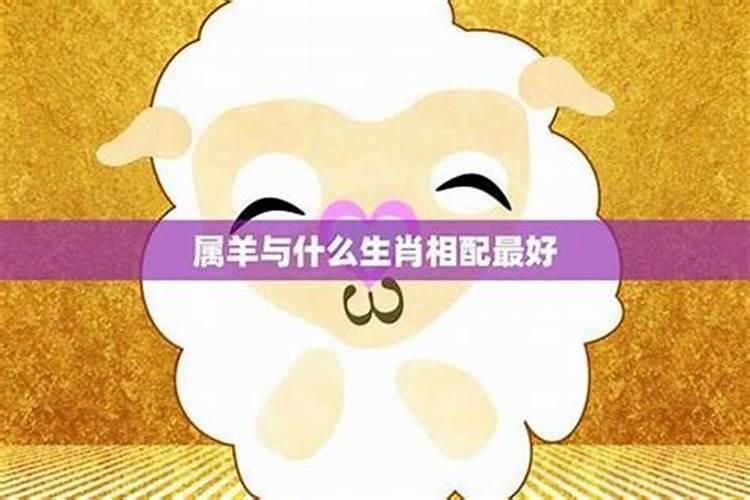 揭秘生肖羊的天赐良缘：谁才是它的最旺拍档？