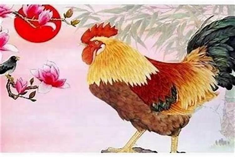 2017年的鸡是什么命？