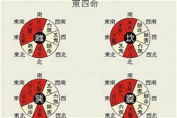什么是东四命？
