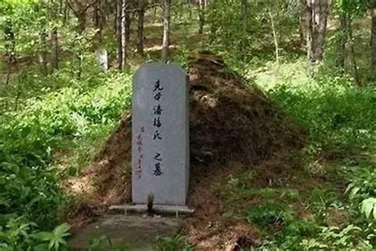 枯树旁的坟墓：风水学视角下的探讨