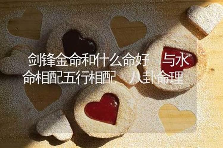 水命相合：探究同命理婚姻的和谐之道