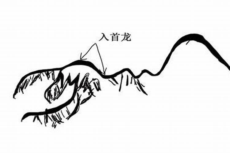 风水大师教你如何看龙与入首龙？