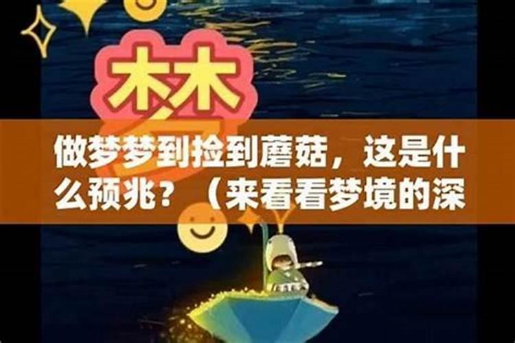 梦境中的乌龟：解析梦中预兆与个人成长的象征？