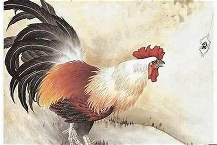 鸡年是什么命？