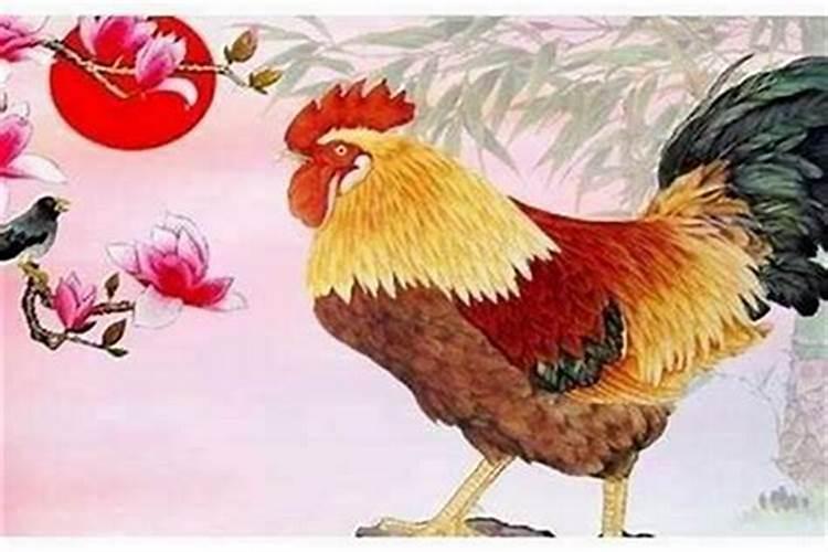 鸡年是什么命缺什么