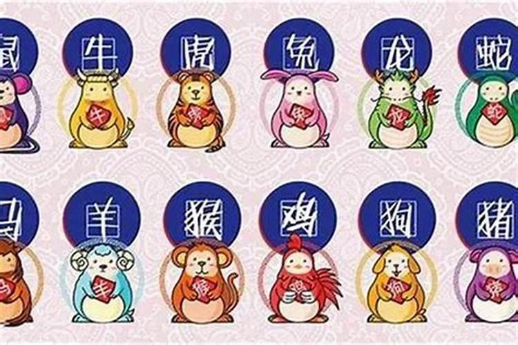 2025年属什么生肖运气好？