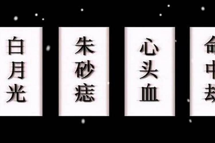白月光,朱砂痣,心头血,命中劫什么意思