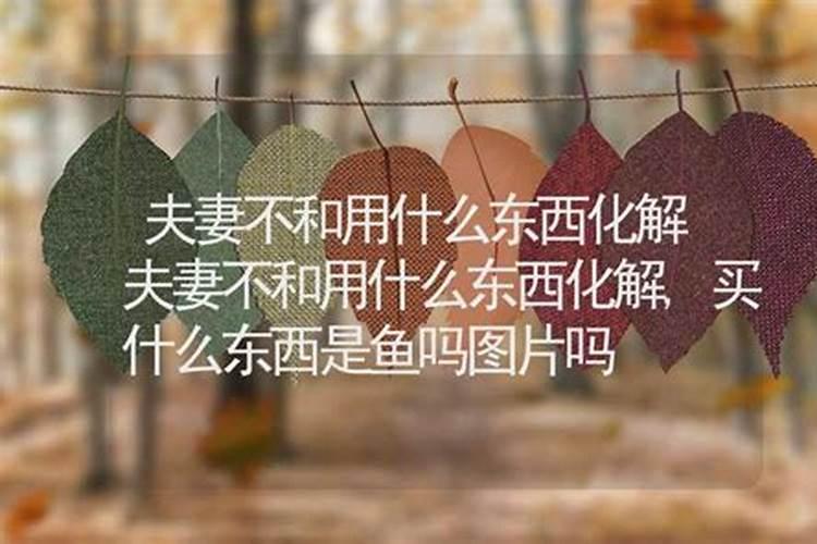 夫妻不和用什么东西化解