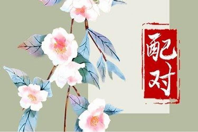 女命地支三合意味什么婚后有福自然来？