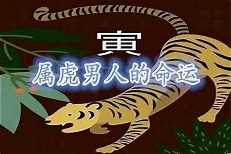 1998年属虎土命缺什么