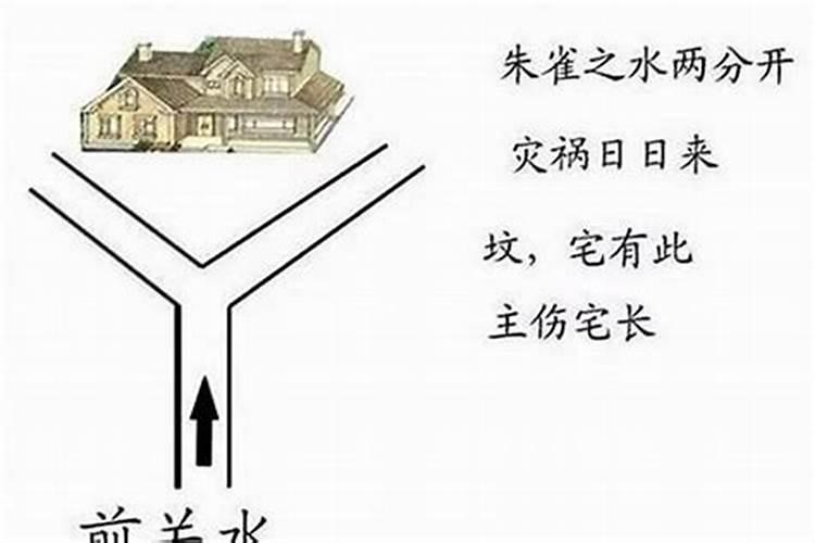 楼下有条河：风水学视角下的人居环境分析