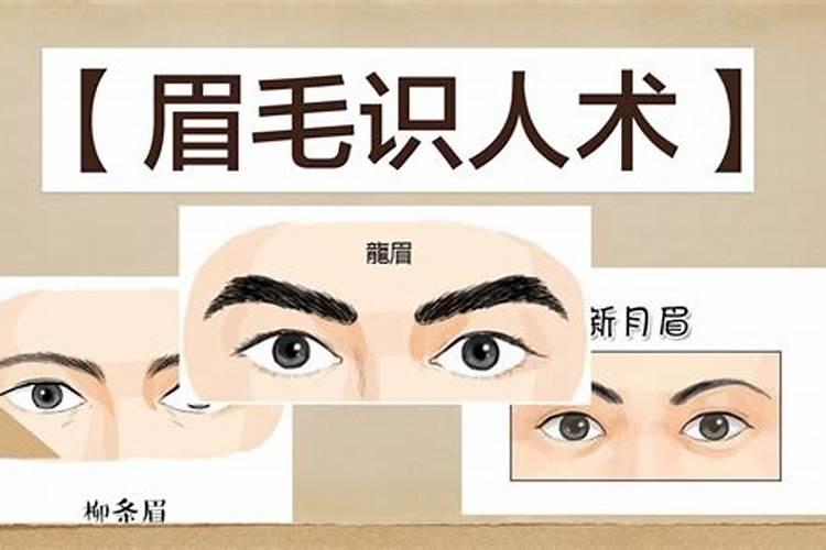面相与运势：眉毛受伤真的会影响命运吗？