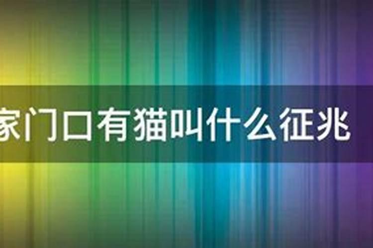 猫来店门口有什么预兆？