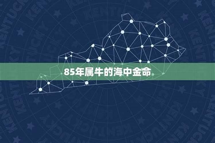 1985年属牛是金命还是木命一生运势详解？