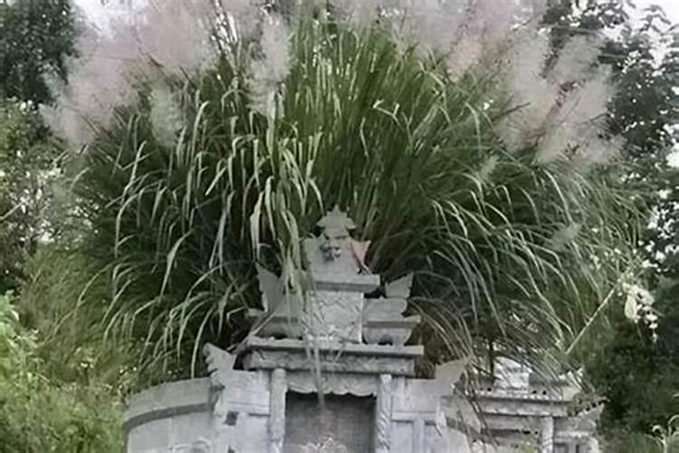 风水学视角下的墓地朝向选择