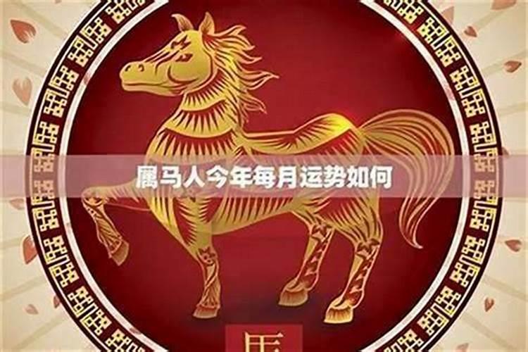 78年的马再婚命运如何？