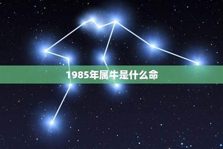 1985年是什么命