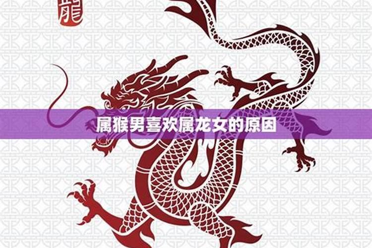 属龙女和属猴男