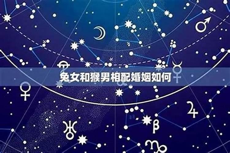 猴狗之缘：八字命理下的婚配解析