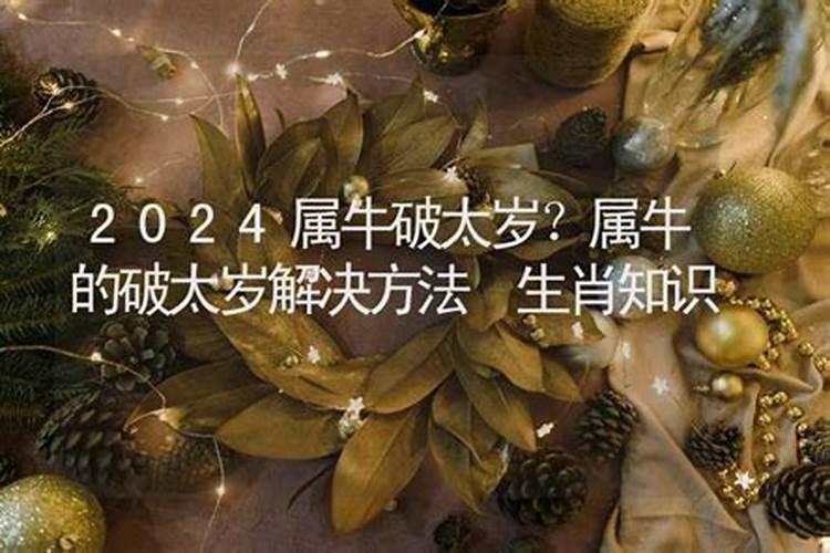 属牛的破太岁解决方法？