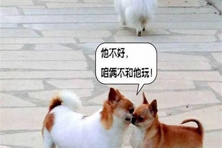 怎样讽刺一个喜欢在别人背后搬弄是非的人？
