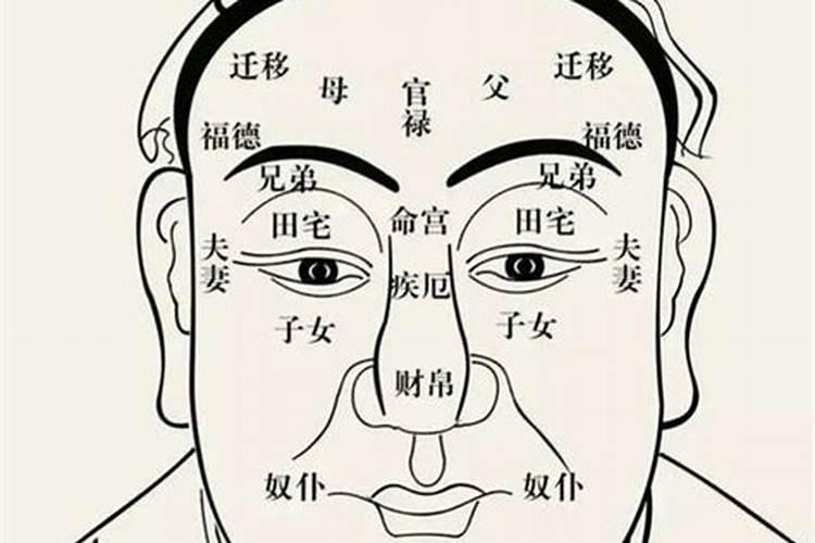 面相十二宫之财帛宫