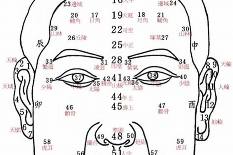 面相部位读透中年运势