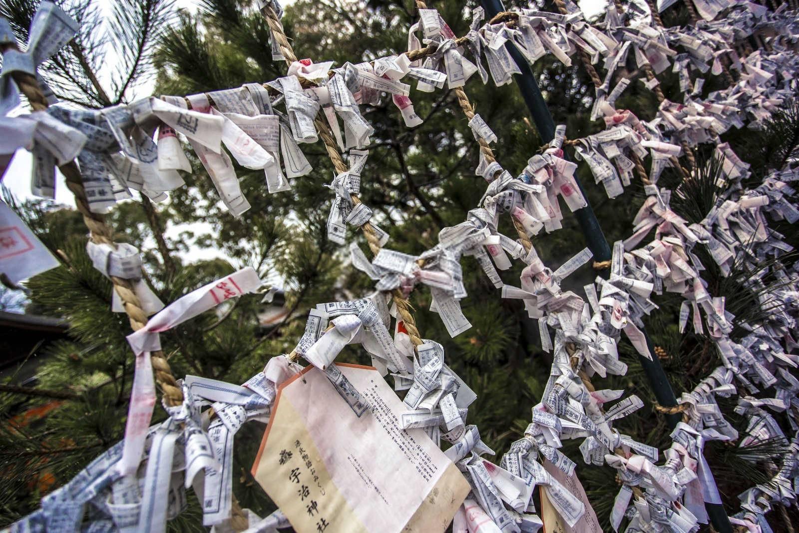 揭秘企业成功之道：公司风水布局的奥秘
